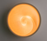 Shell flush mount